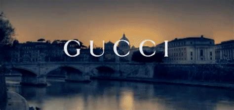 gucci gif